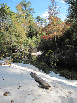 The river is beautiful in the Fall too.