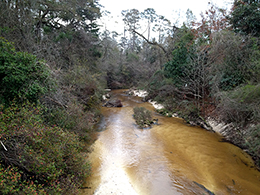 Looking down stream on the river.