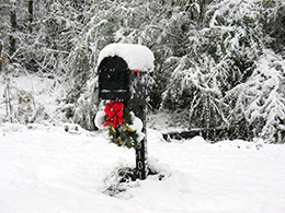 Although rare, winter can bring snow to Fern Cottage.