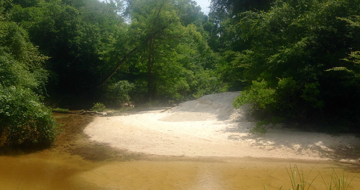 Photo of the sandy beach on the Bogue Falaya River in Folsom, LA